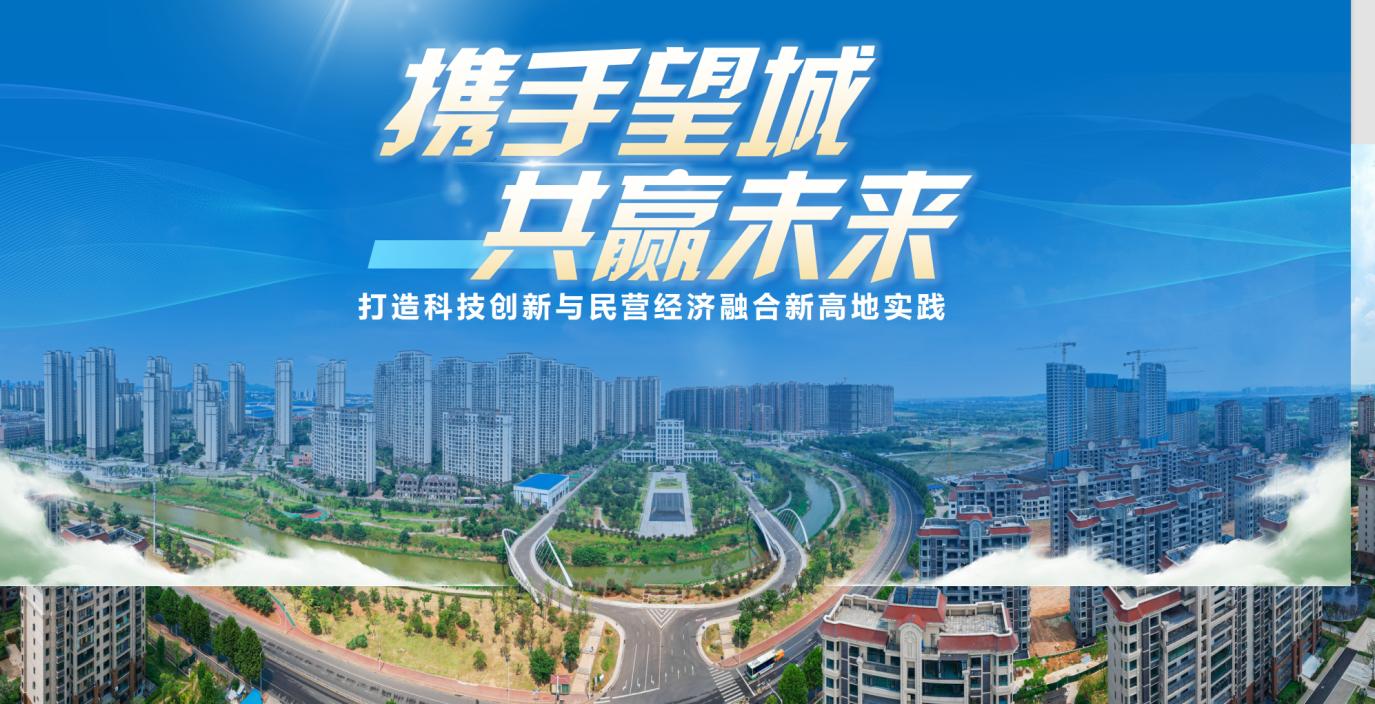 國家級望城經(jīng)開區(qū)邀全球企業(yè)與專家共赴創(chuàng)新之約