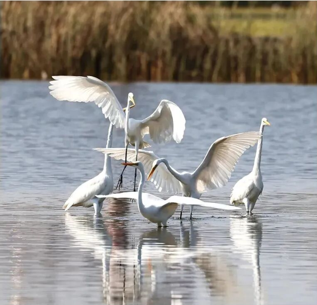 走，一起到海南「追鳥」去！
