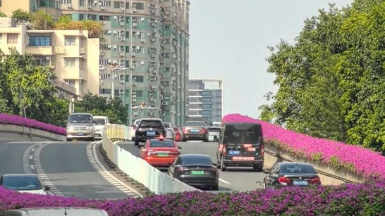 十五運會廣州單雙號限行首日，市區(qū)交通顯著改善