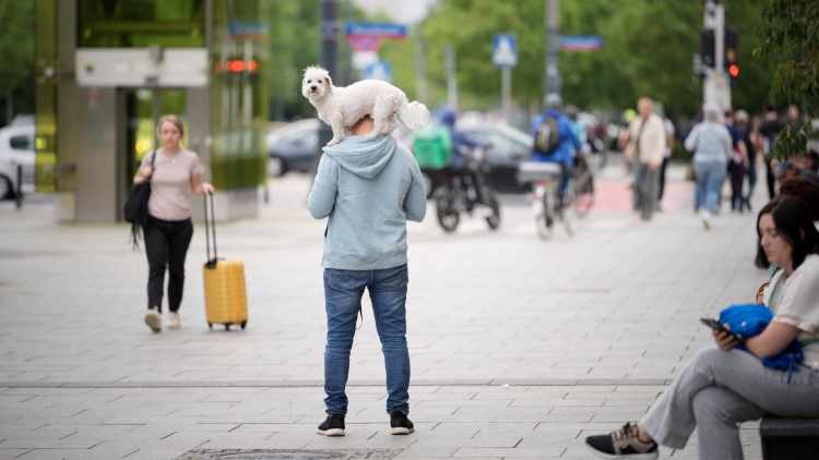 波蘭將啟動(dòng)全民軍事培訓(xùn)計(jì)劃