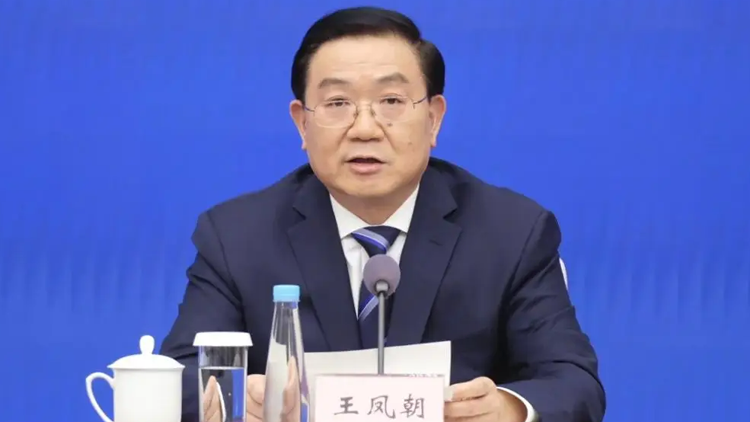 四川成都市市長(zhǎng)王鳳朝被查！