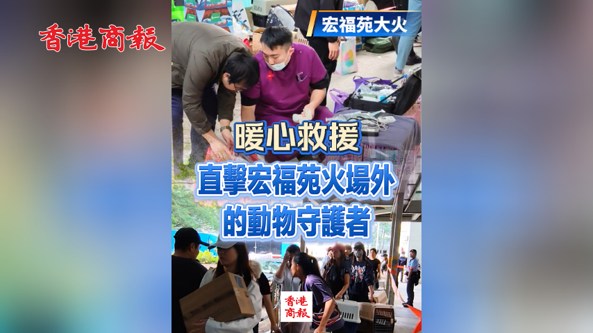 有片丨【宏福苑大火】暖心救援 直擊宏福苑火場(chǎng)外的動(dòng)物守護(hù)者