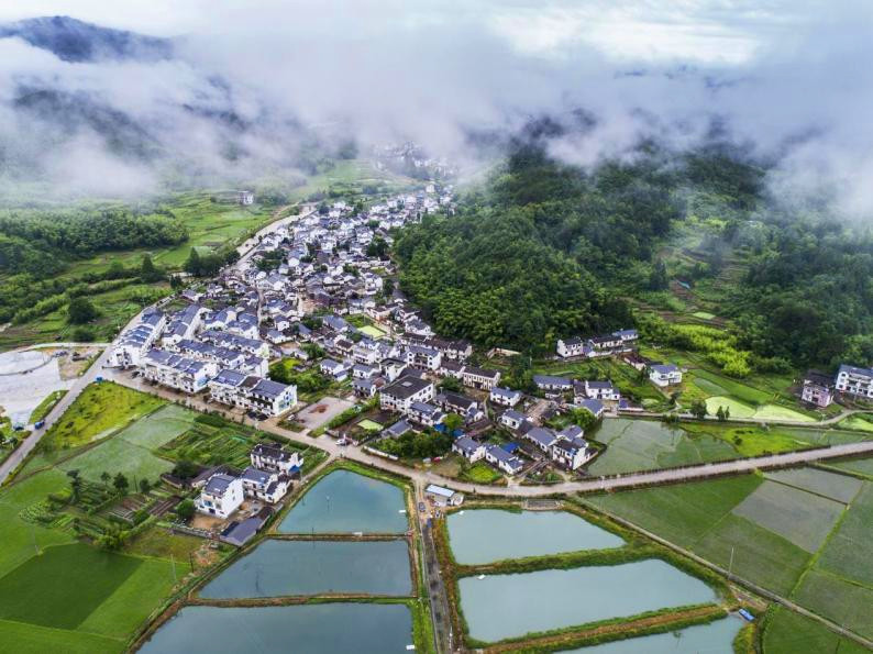 【黃山「鎮(zhèn)」能量】皖黃山區(qū)耿城鎮(zhèn)：深耕「壽」文化 溝村繪新景