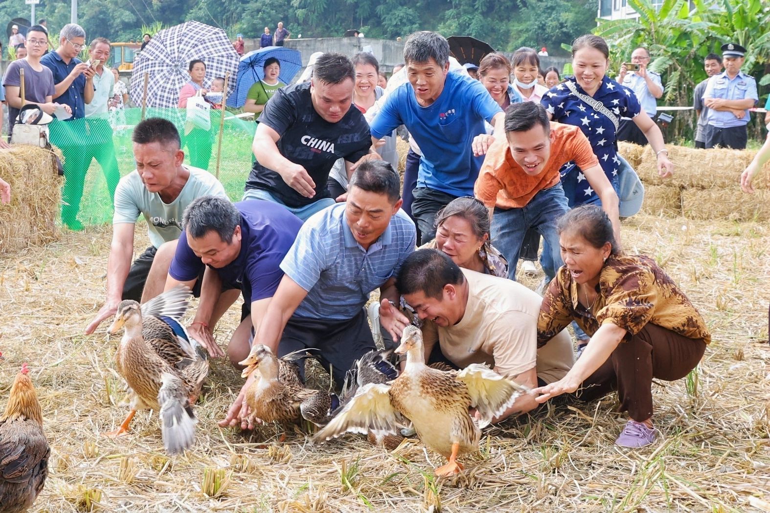 1.趣味運(yùn)動(dòng)會上，村民參加徒手抓雞、鴨比賽（中共隆林縣委宣傳部 供圖）.jpg