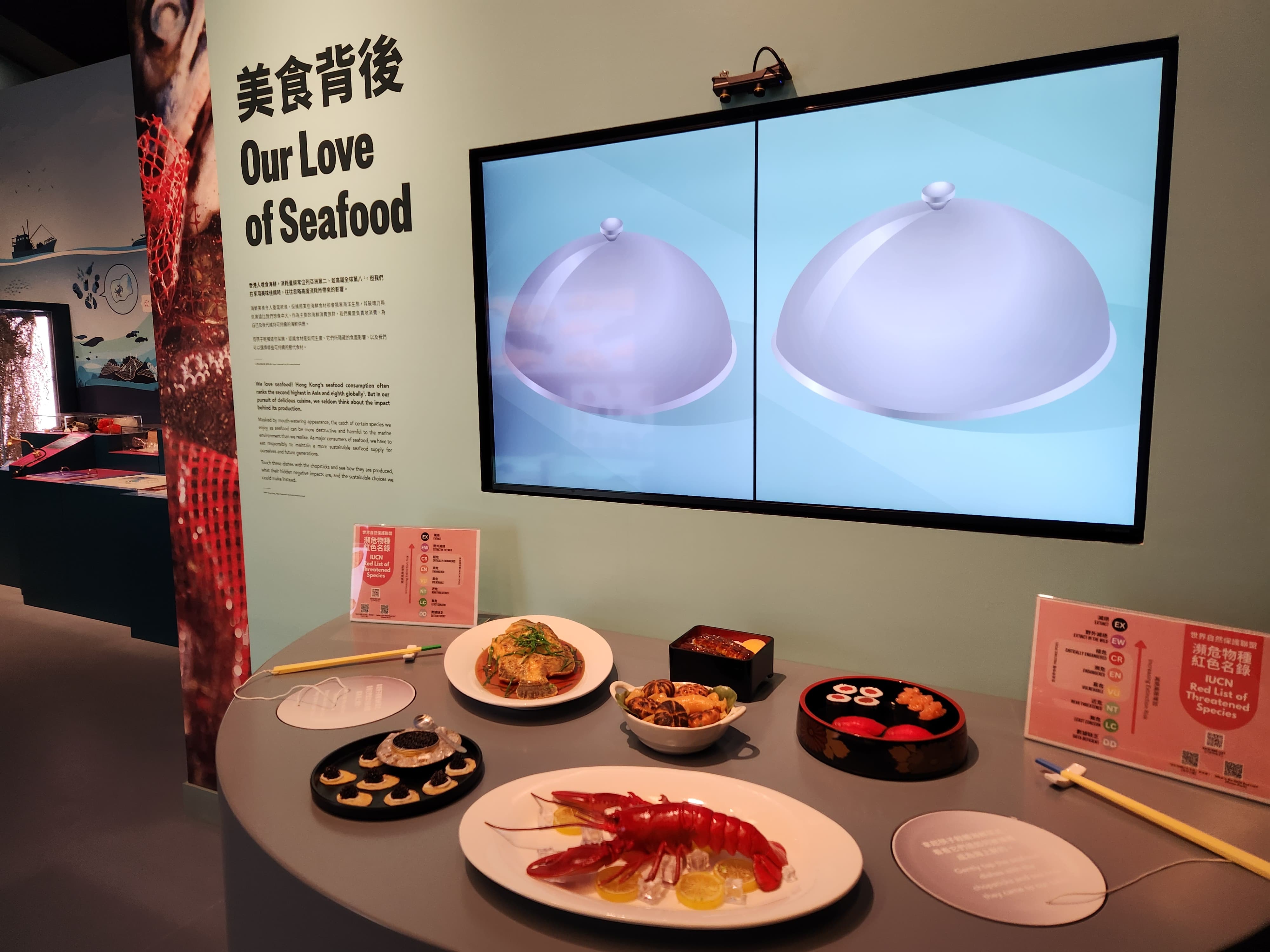 WhatsApp Image 2025-02-26 at 17.05.30 (2).jpeg