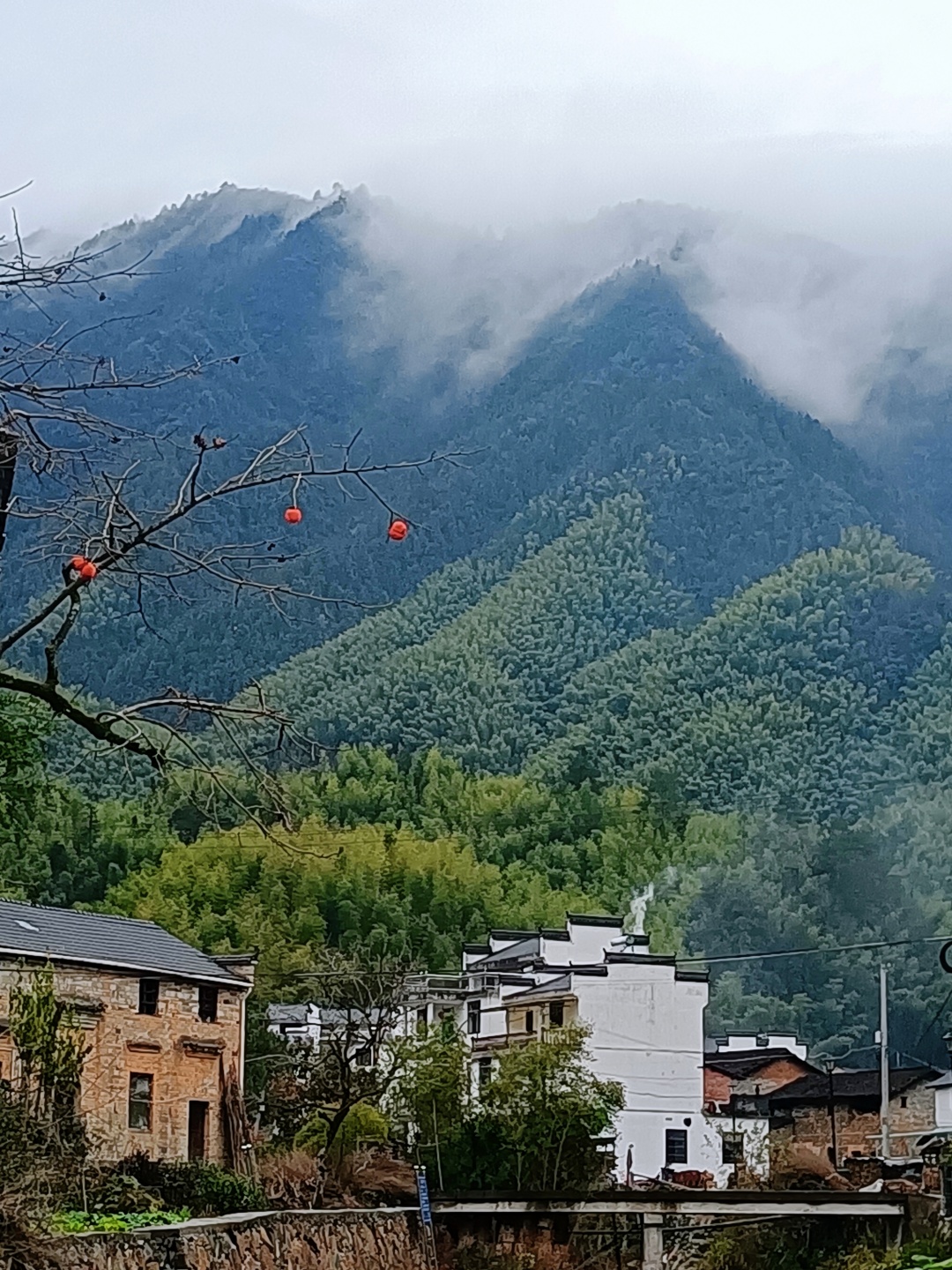 大歇村.jpg