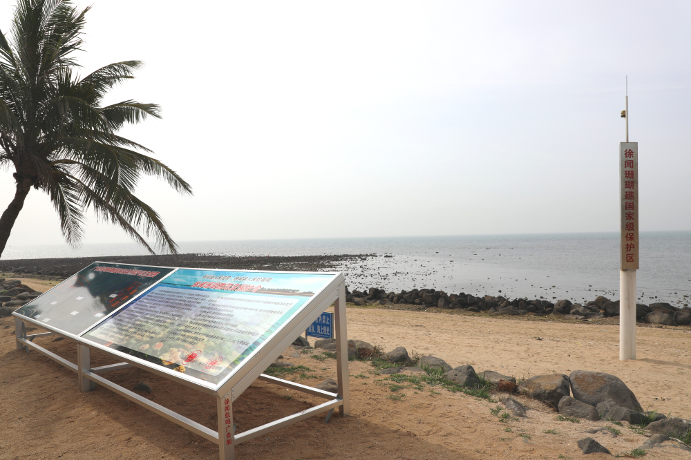 3、徐聞法院聯(lián)合檢察院在徐聞珊瑚礁國家級自然保護區(qū)豎立全國首個珊瑚礁司法保護令標牌。.jpg
