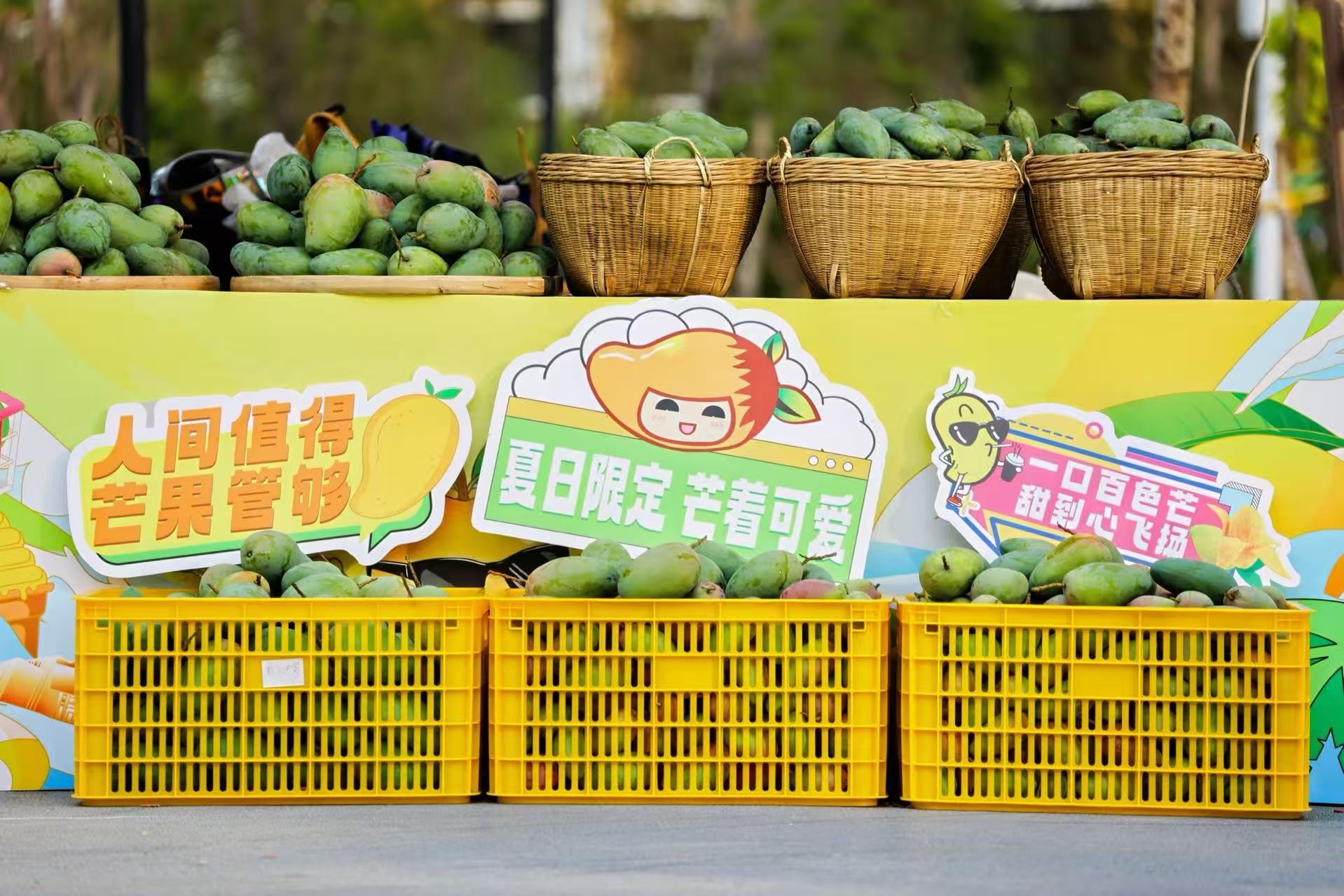 2、百色芒果（方鹽 攝）.jpg